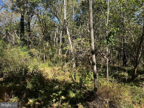 Land, DILLSBURG, PA