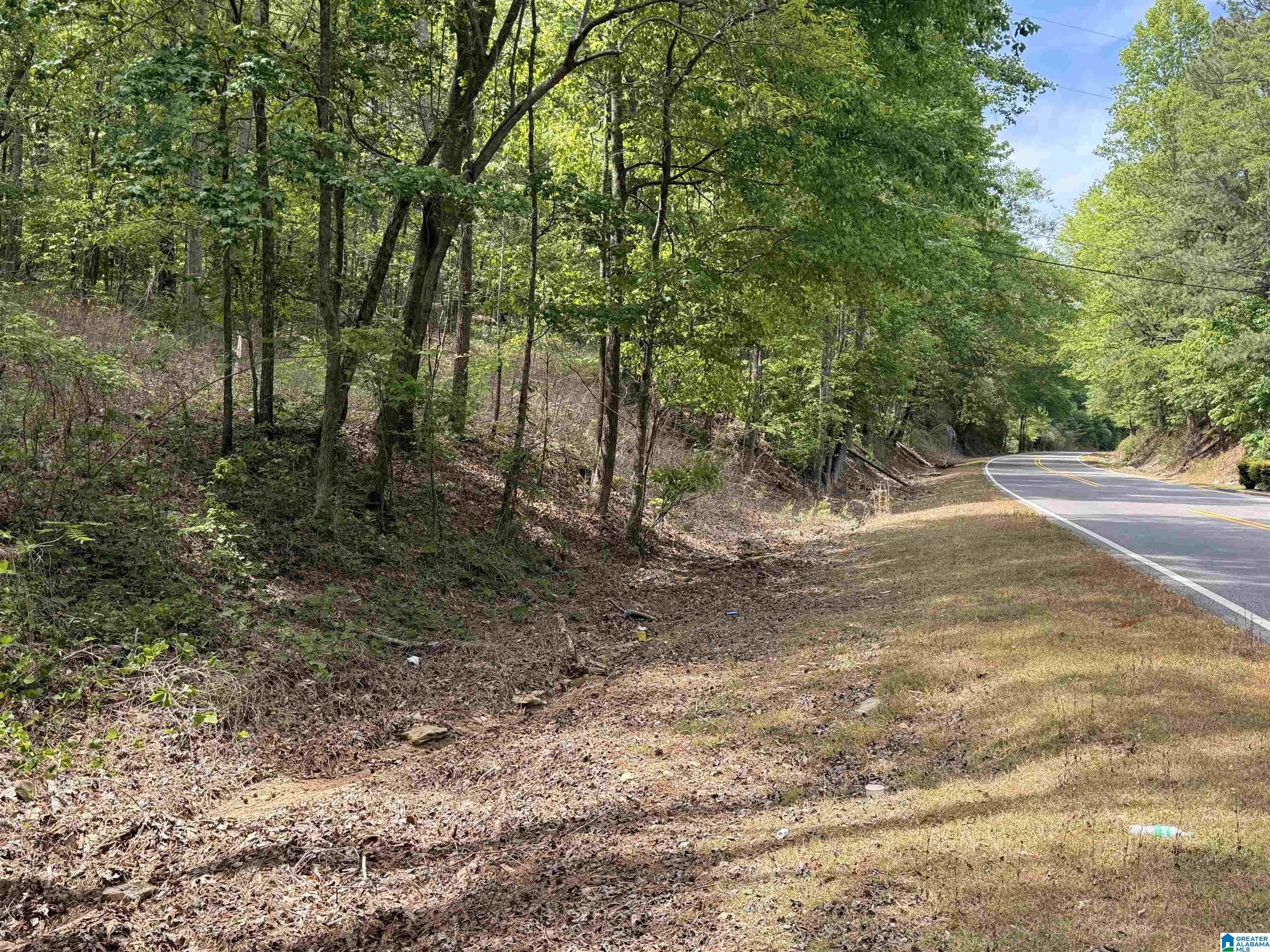 9.5 Acres for Dream Home