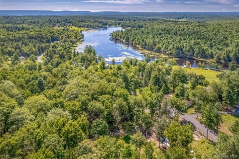59 Acres in Ellenville, NY
