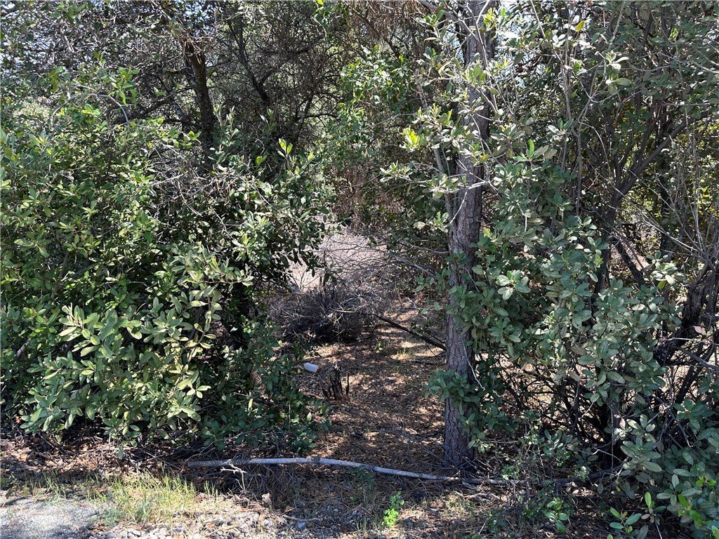 Picture 4