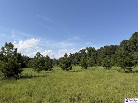 Land, Dillon, SC