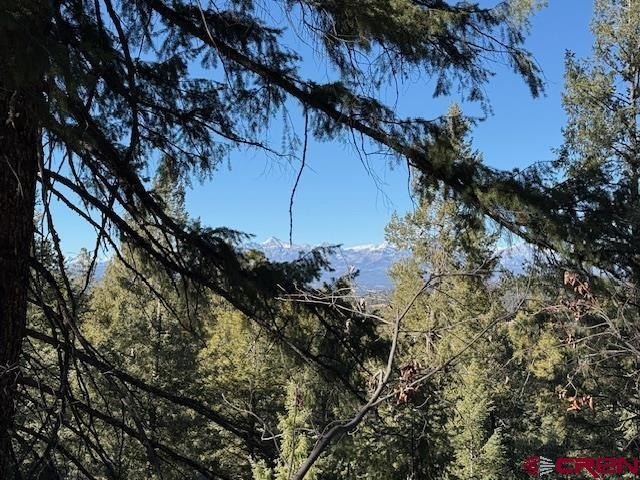 Land in Pagosa Springs, CO
