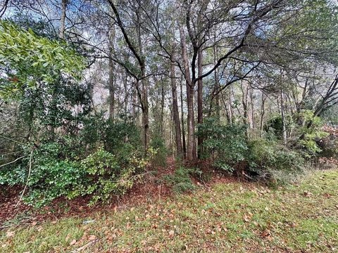 Unrestricted Land in Tyler County