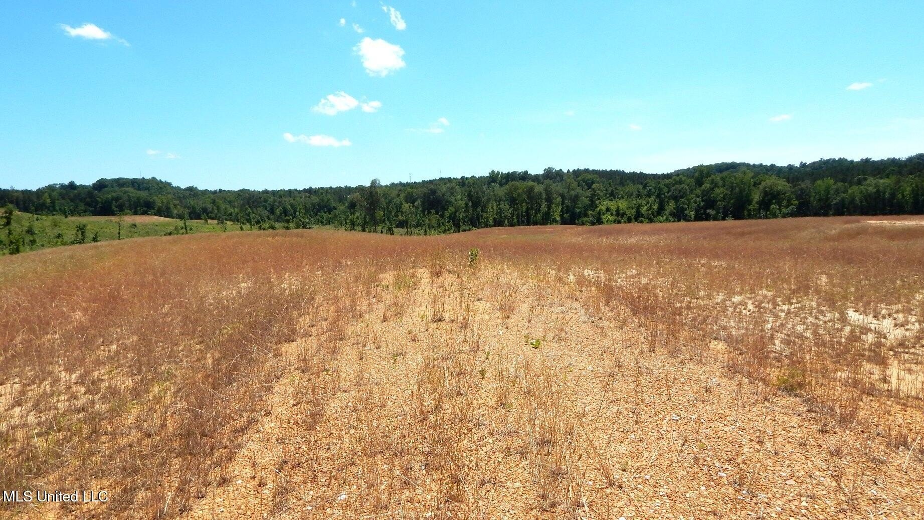 Grenada Lake Area Land