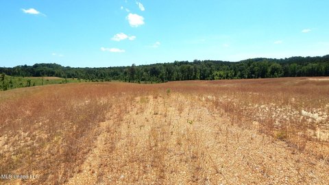 Grenada Lake Area Land
