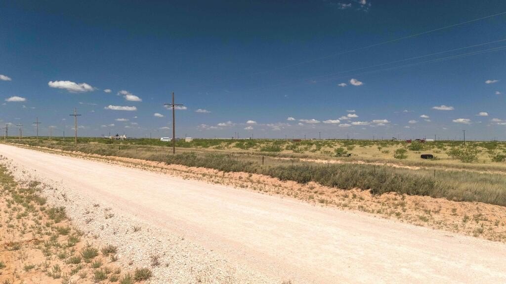 Picture 15