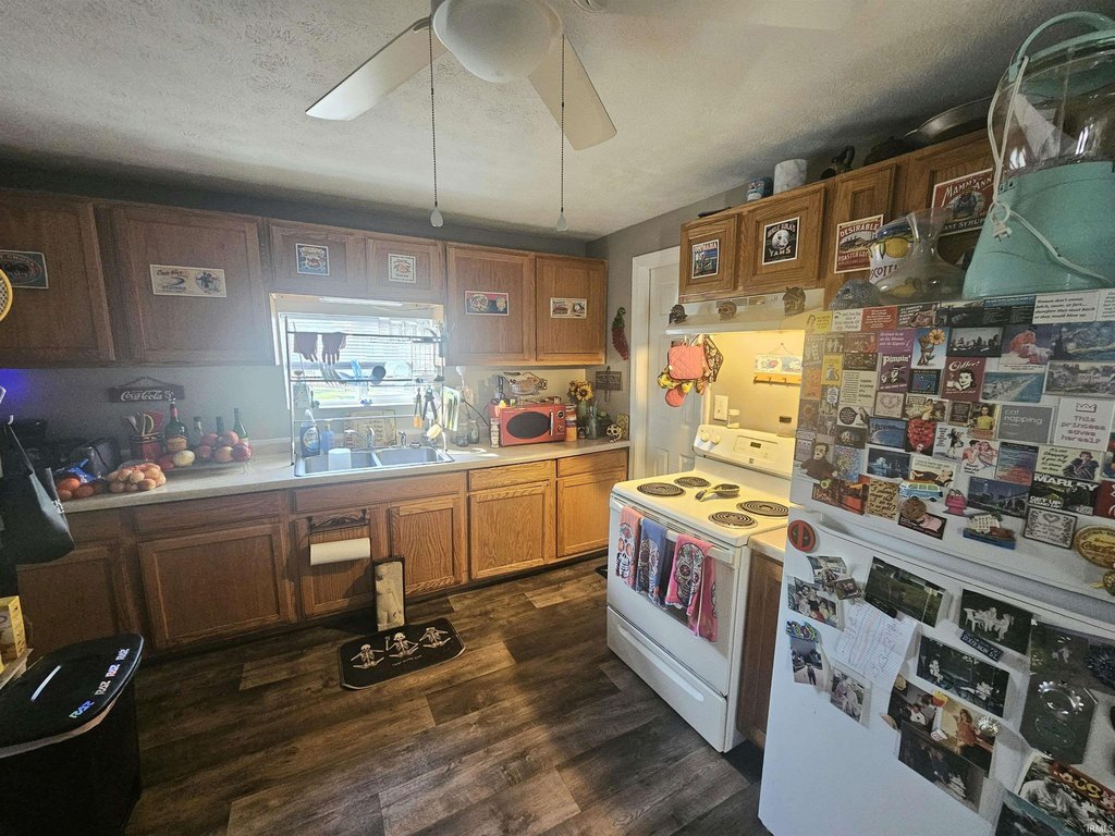 Picture 16
