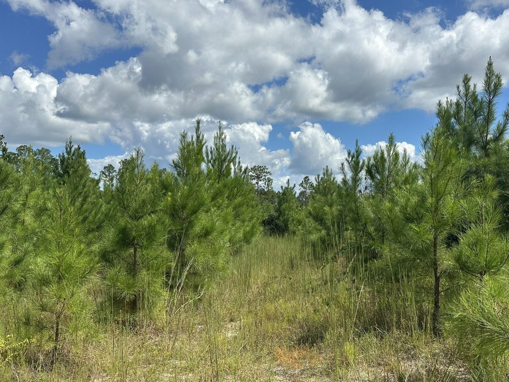 Picture 39