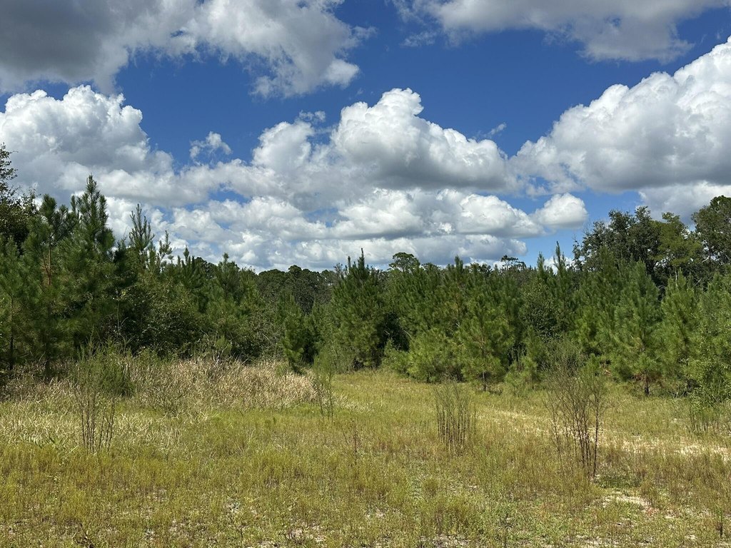 Picture 18