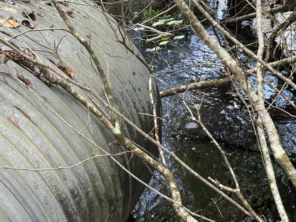 Picture 28
