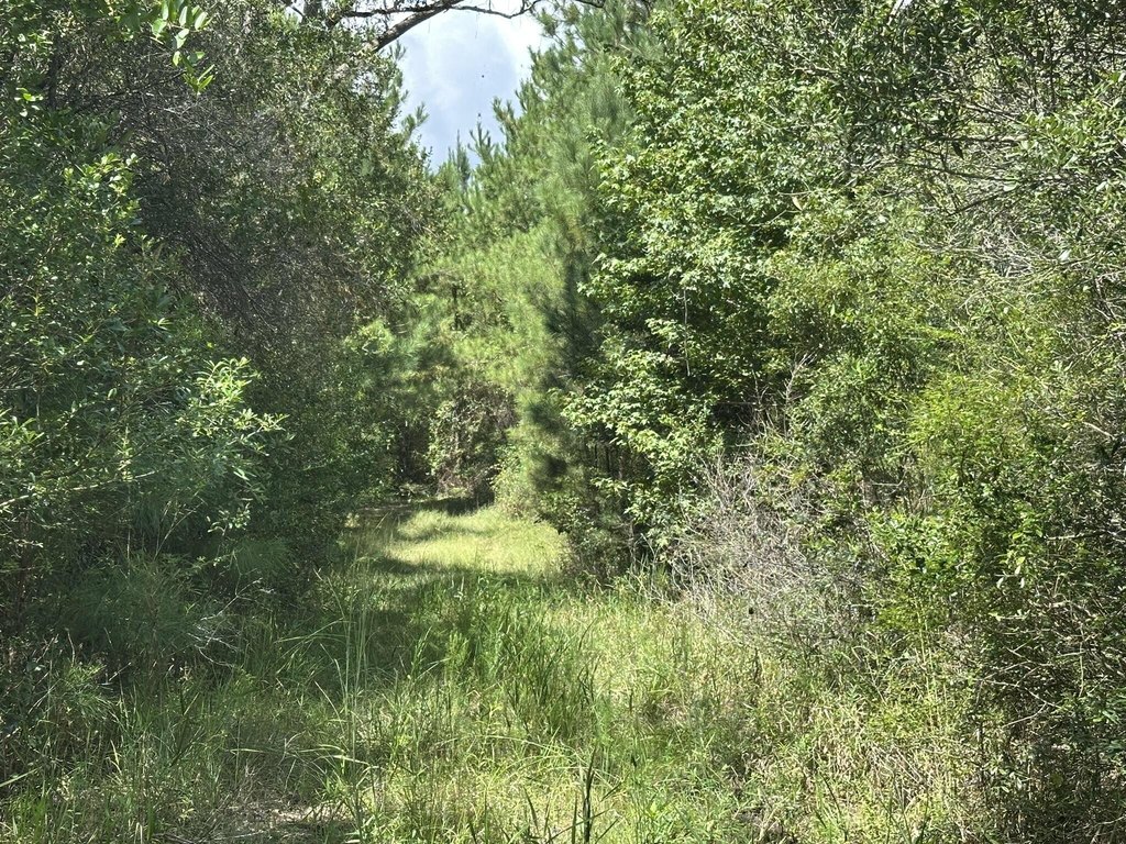 Picture 23