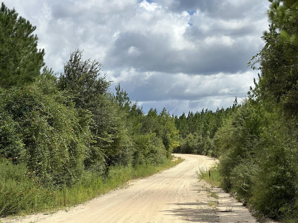 Picture 8