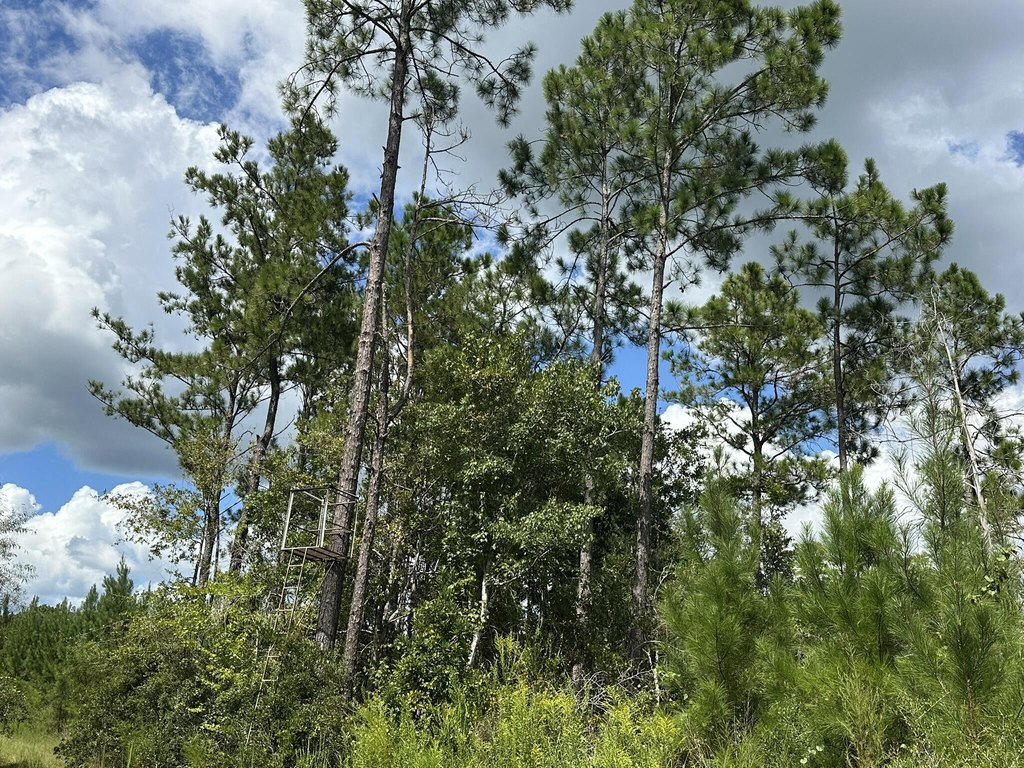 Picture 38
