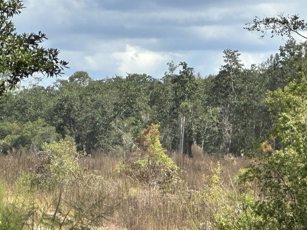 Picture 43