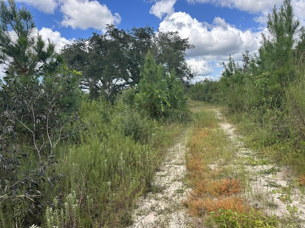Picture 31