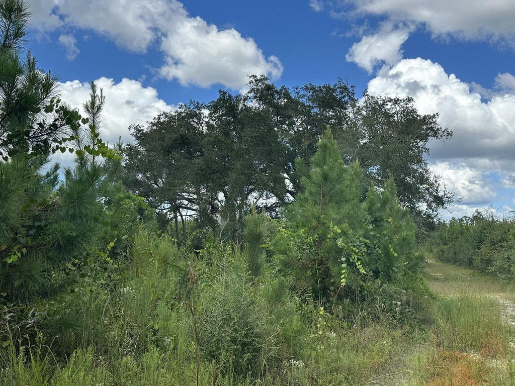 Picture 32