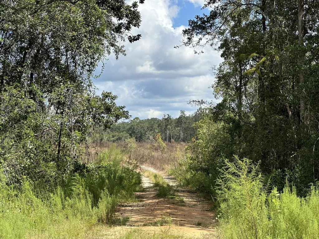 Picture 42