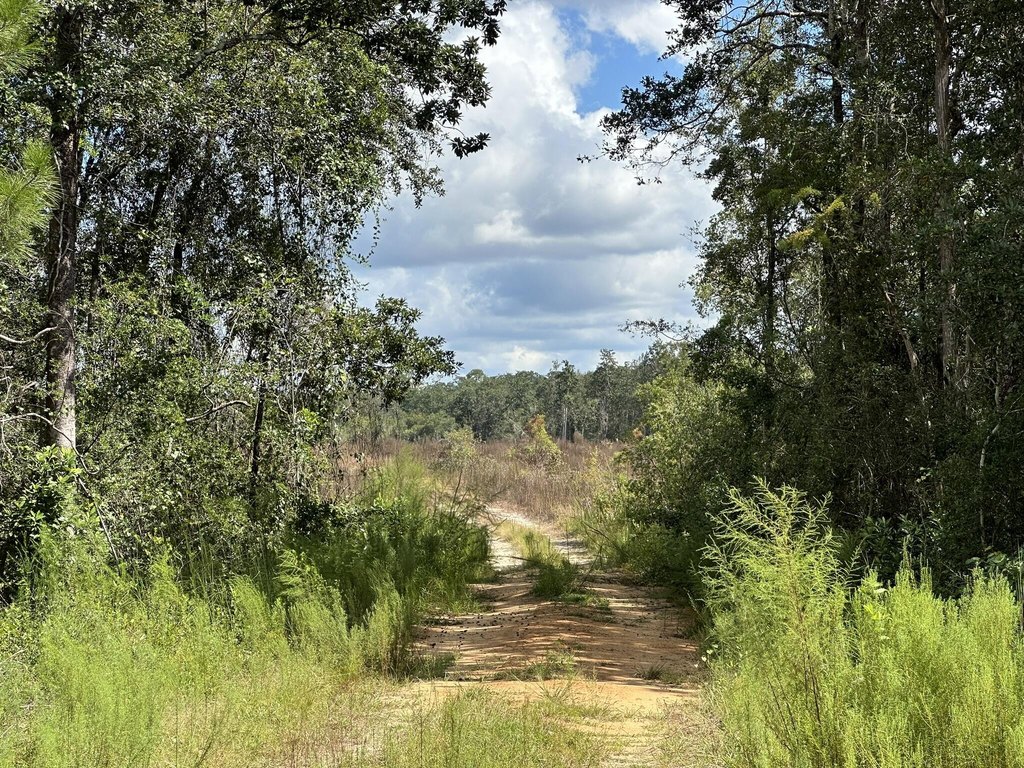 Picture 41
