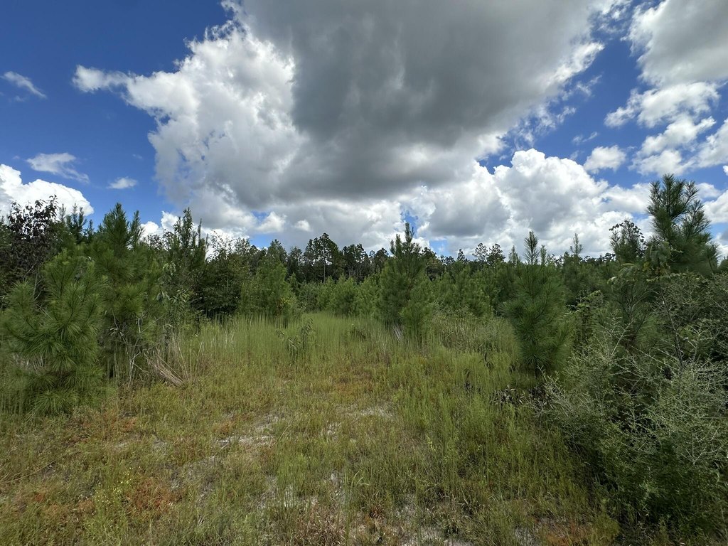 Picture 30