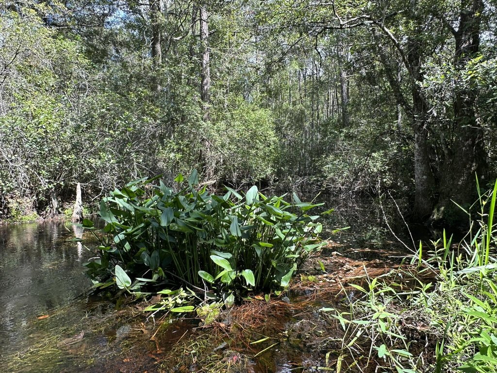 Picture 22
