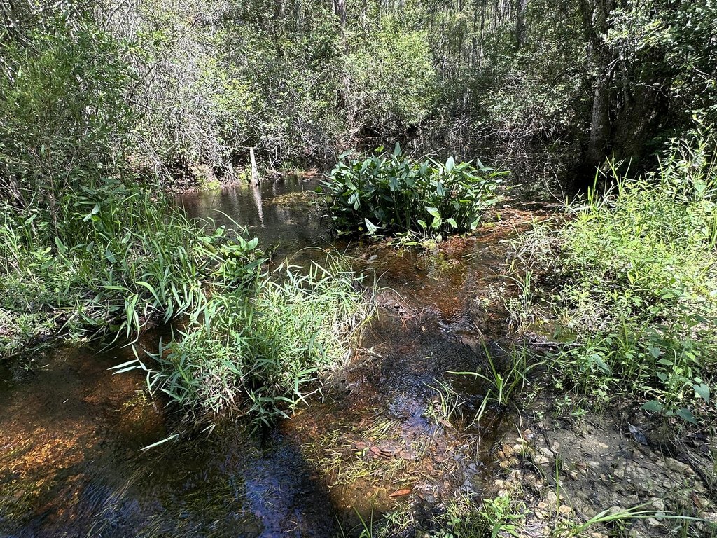 Picture 21