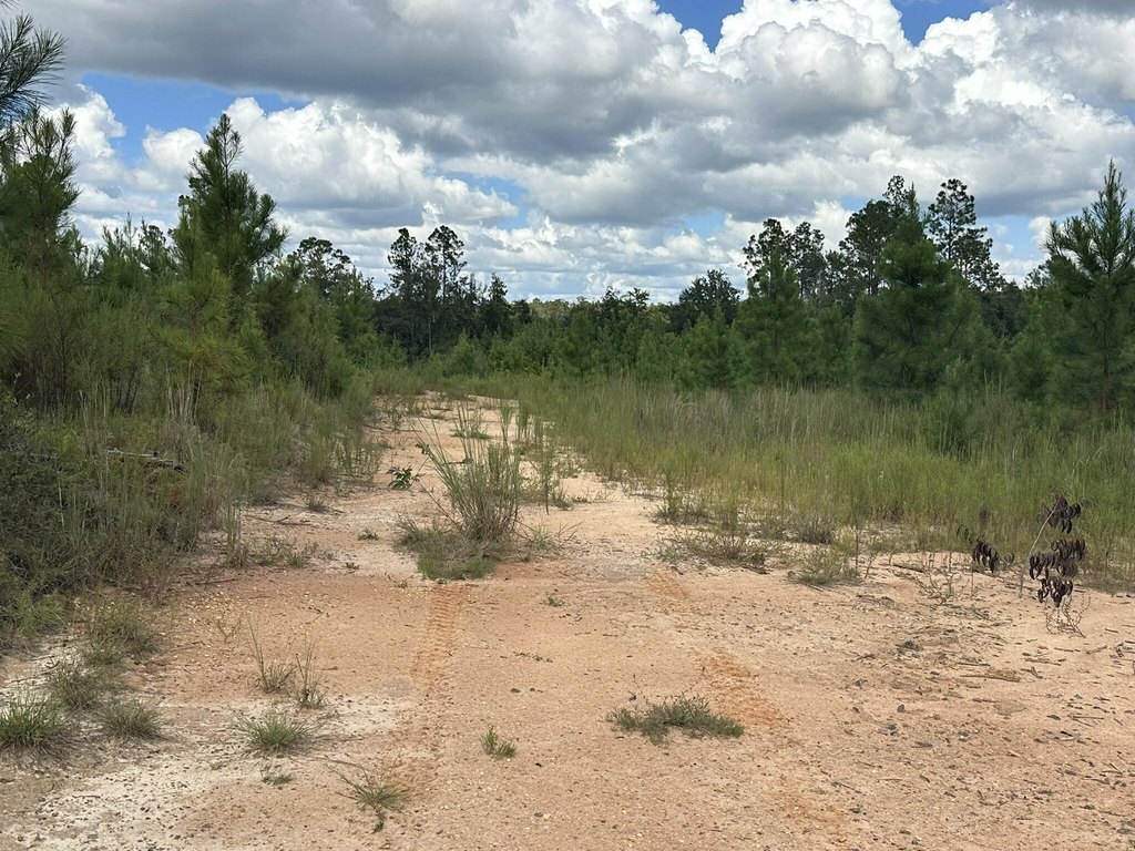 Picture 34
