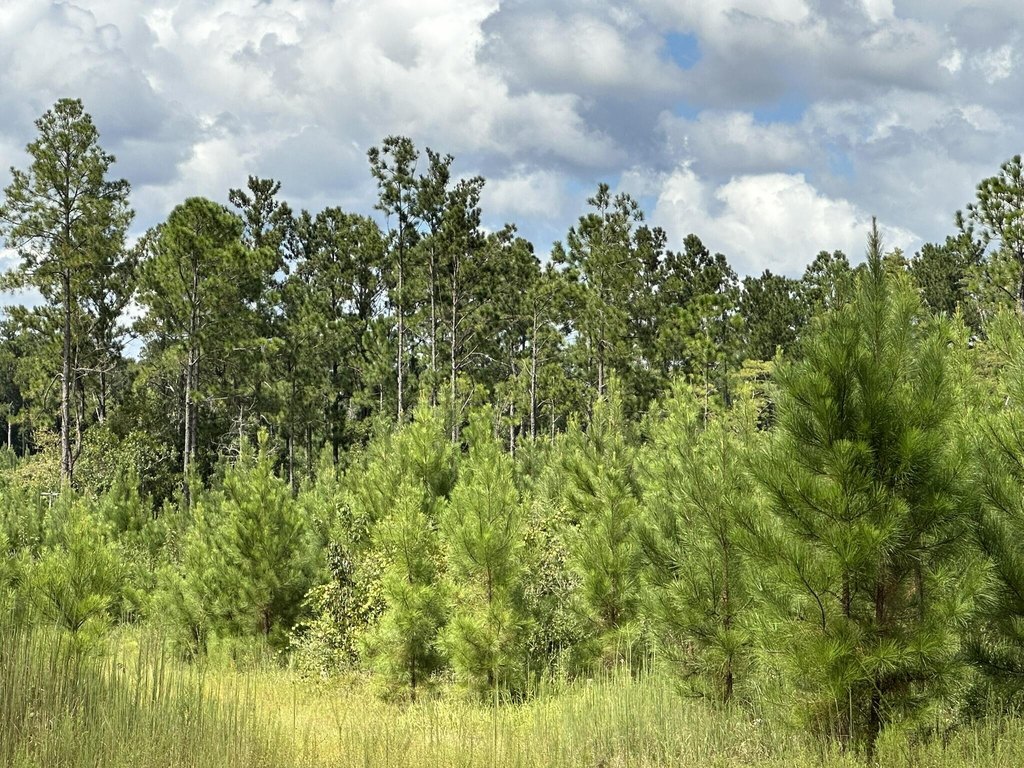 Picture 36