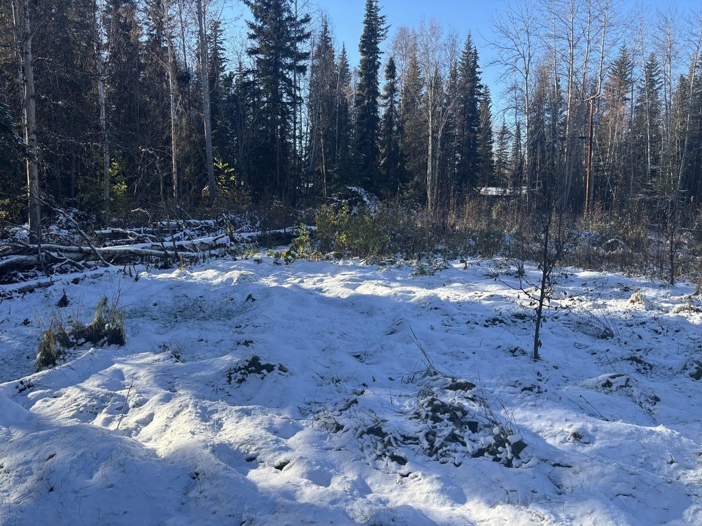 Picture 19