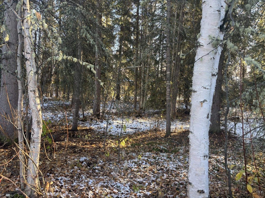 Picture 22
