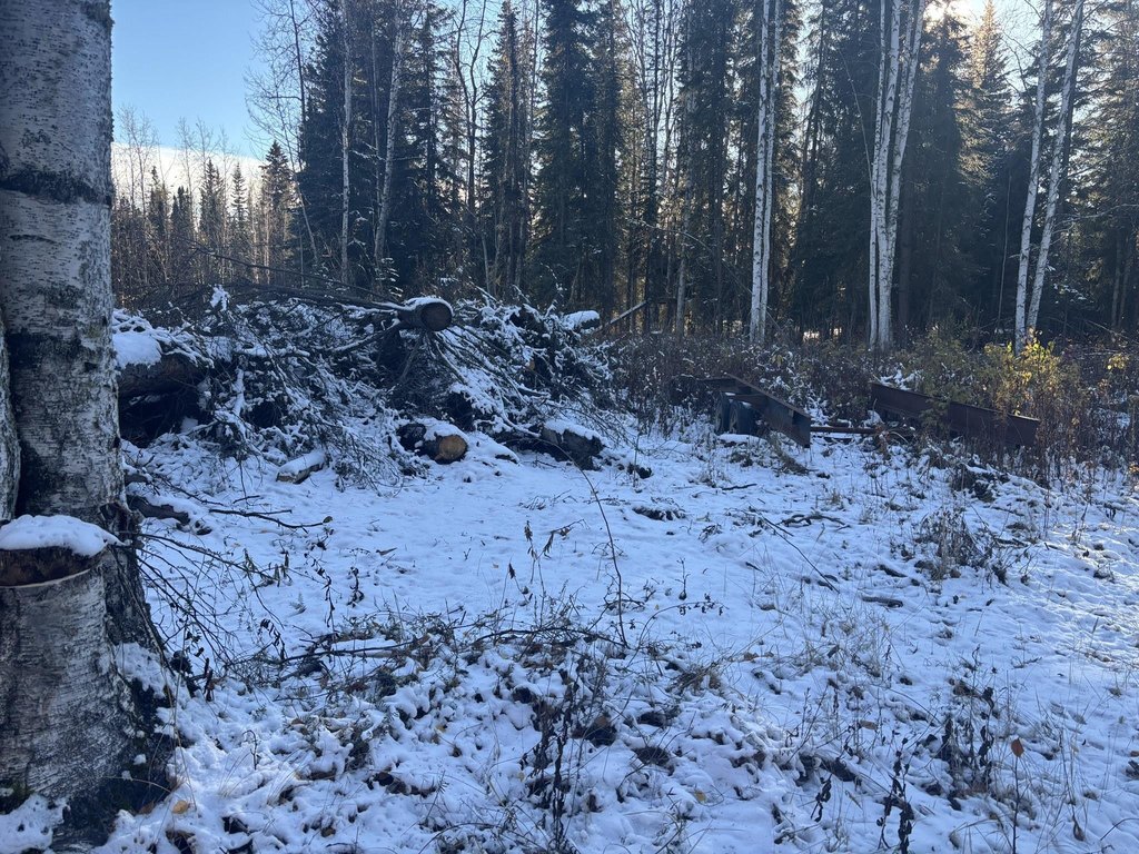 Picture 15