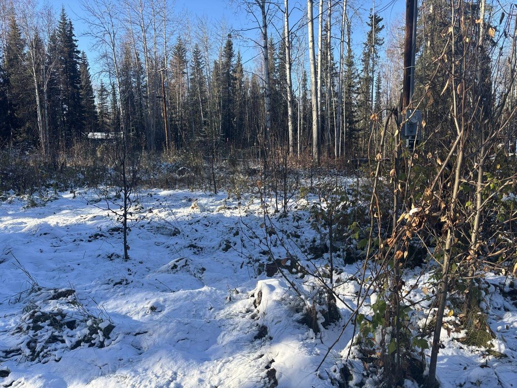 Picture 21