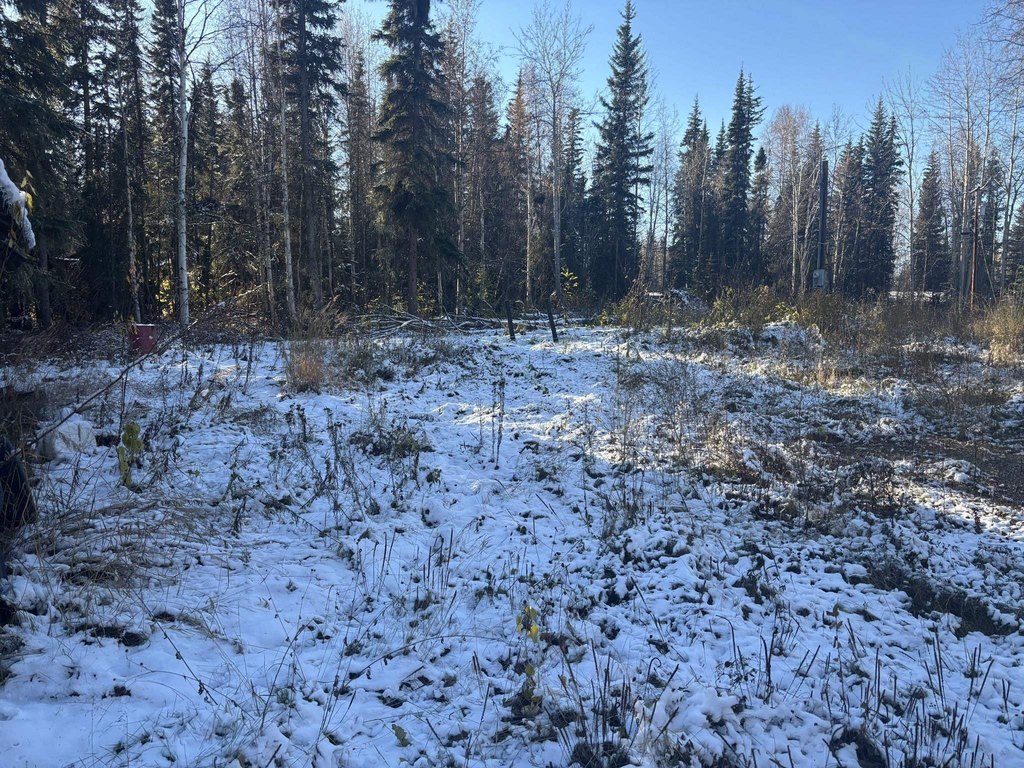 Picture 18