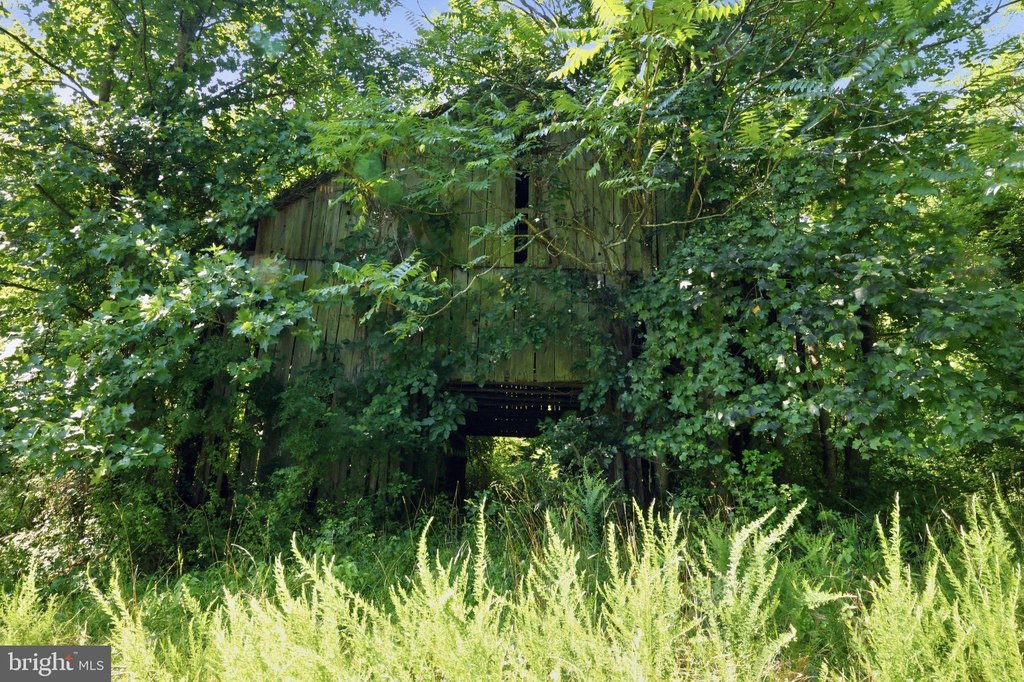 Picture 11