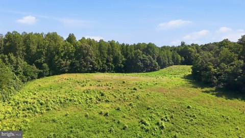 213 Acres Woodland Oasis