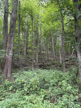 LAND - Lowell, MI