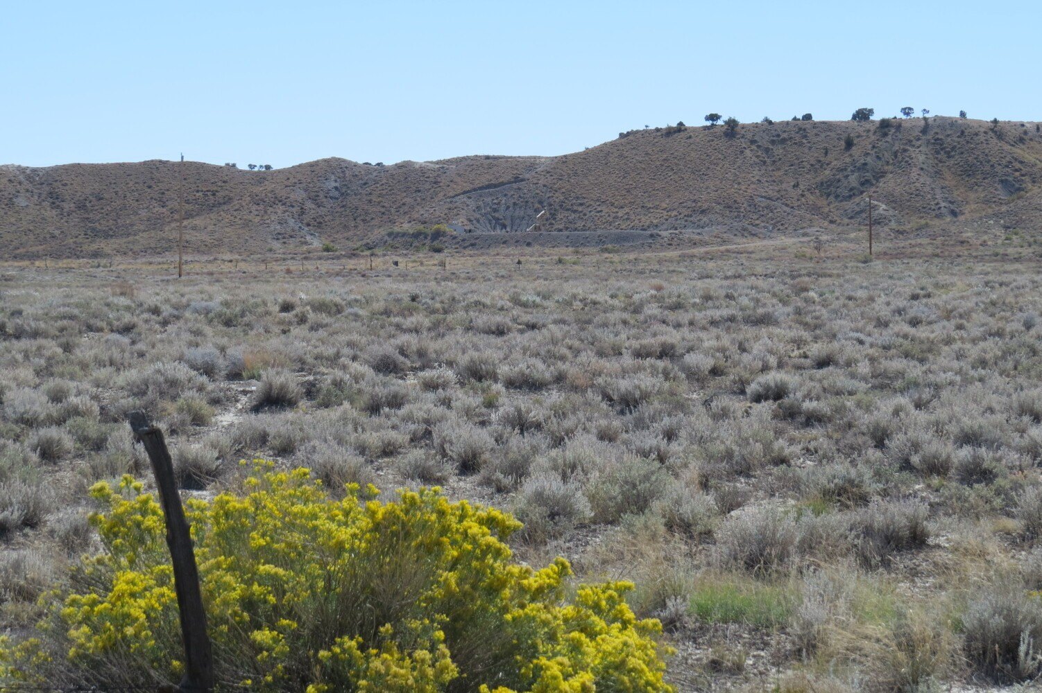 72.41 Acres Development Opportunity