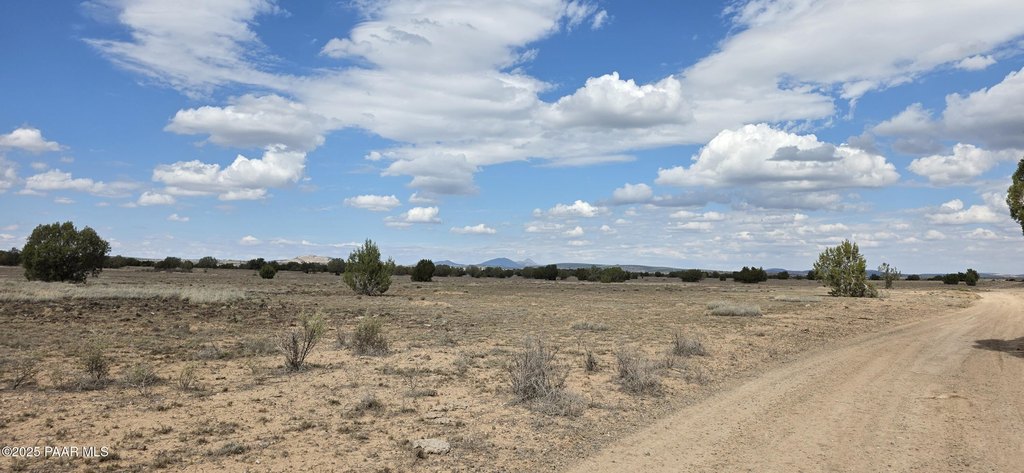 Picture 24