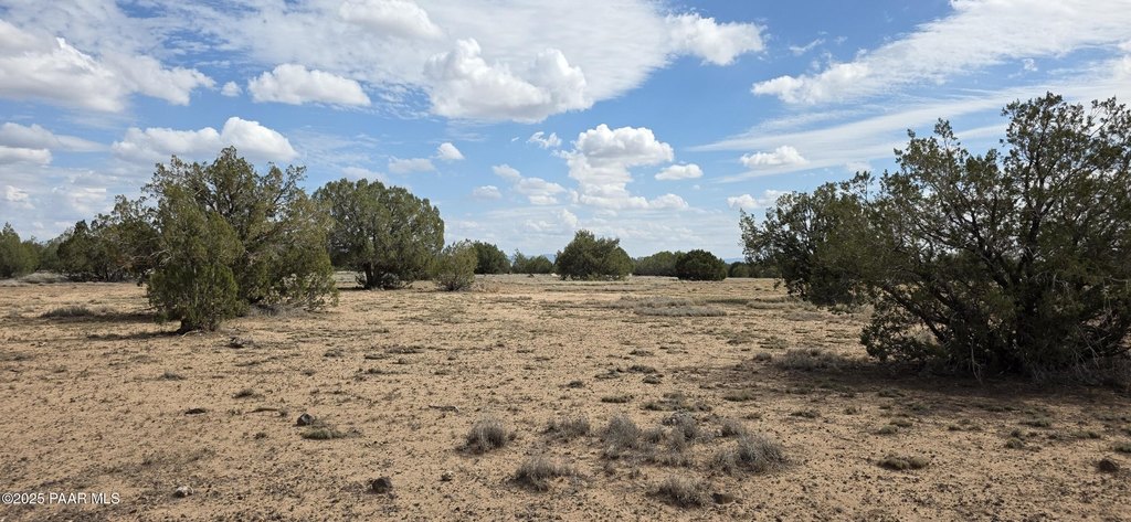 Picture 22