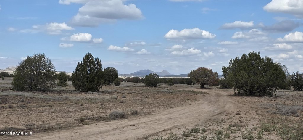Picture 16
