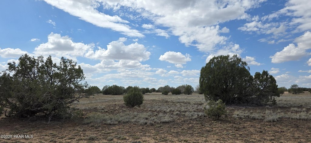 Picture 20