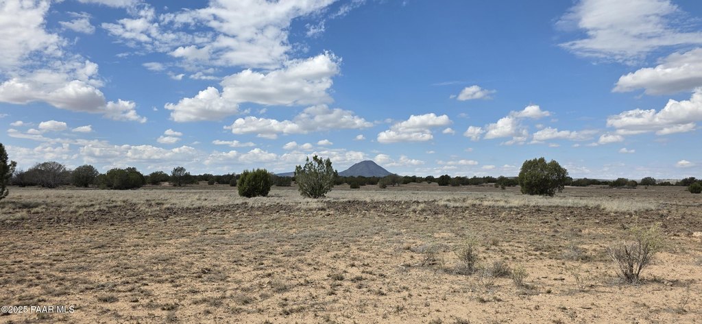 Picture 25