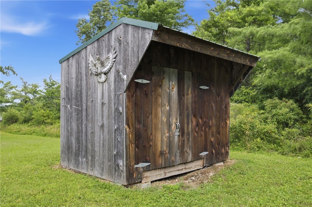 Picture 6