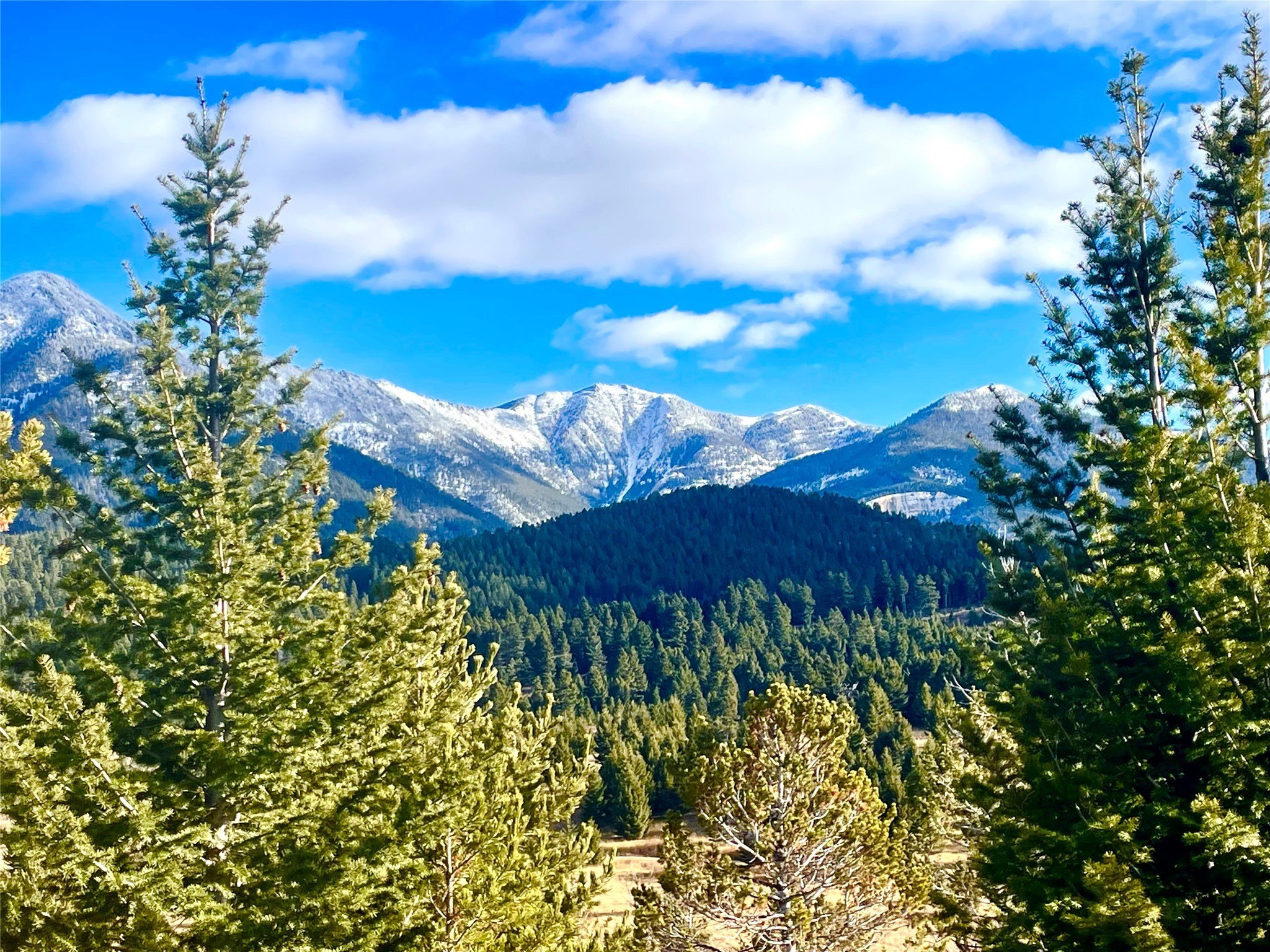Montana Recreational Land For Sale