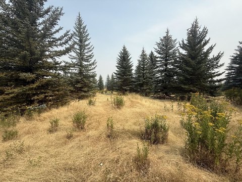 LAND - Mica, WA