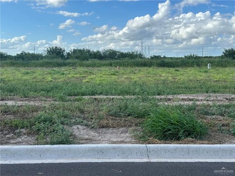 LAND - Donna, TX