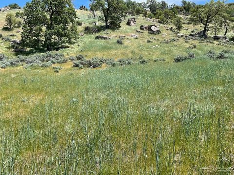 6.19 Acre Lot in Tehachapi