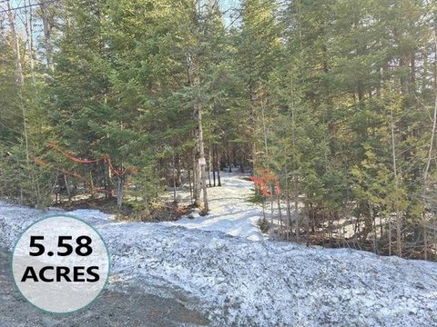 5.58 Acre Lot Near Burke