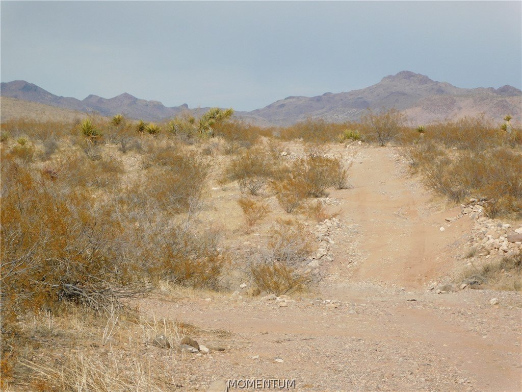Picture 17