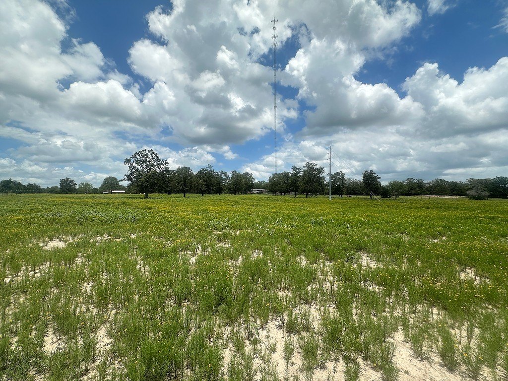 Picture 12