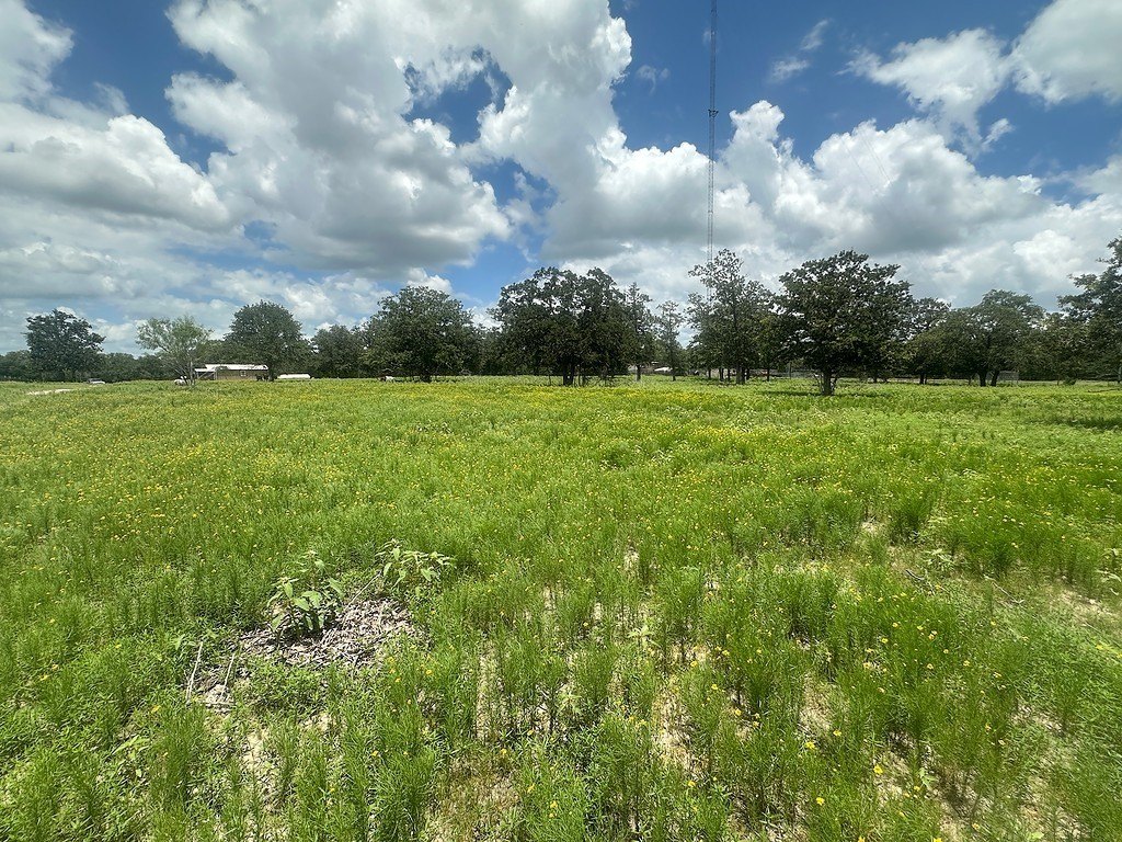 Picture 7